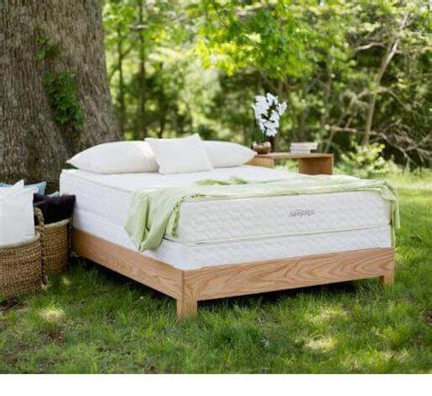 stl bets|beds in st louis.
